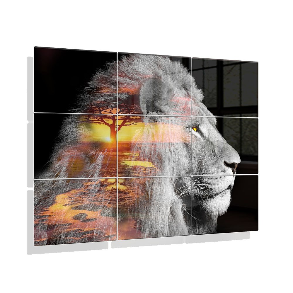 Foto aluminium Leeuw Savanne