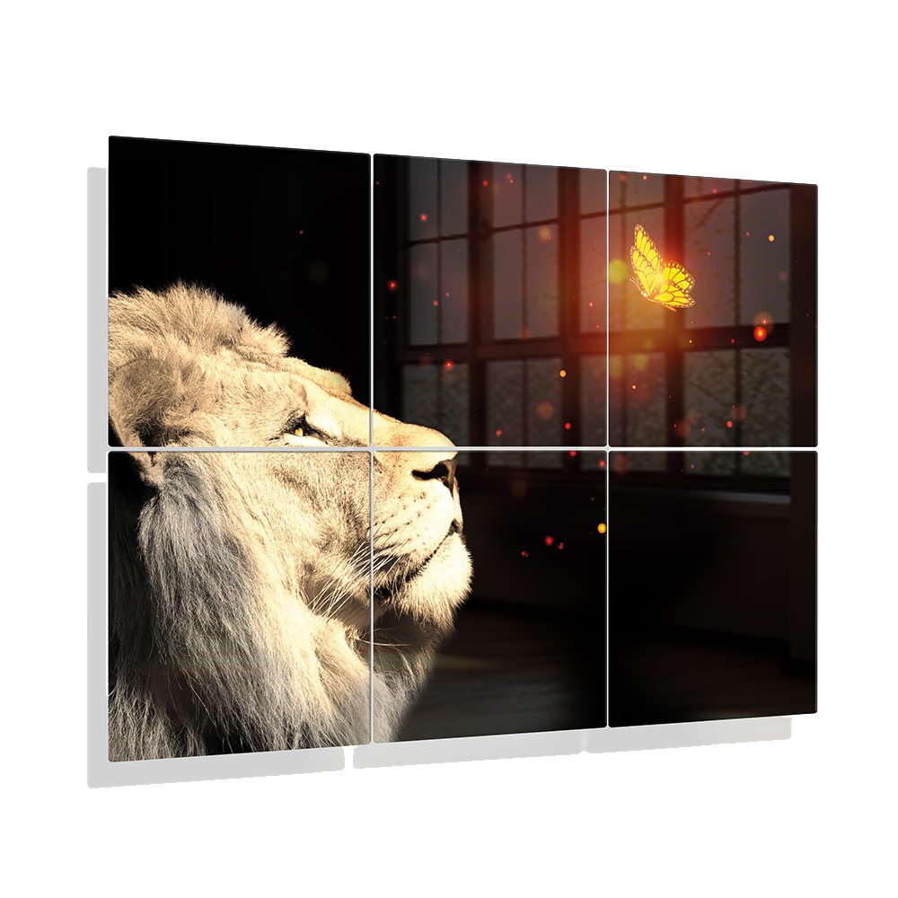 Foto aluminium Leeuw met vlinder