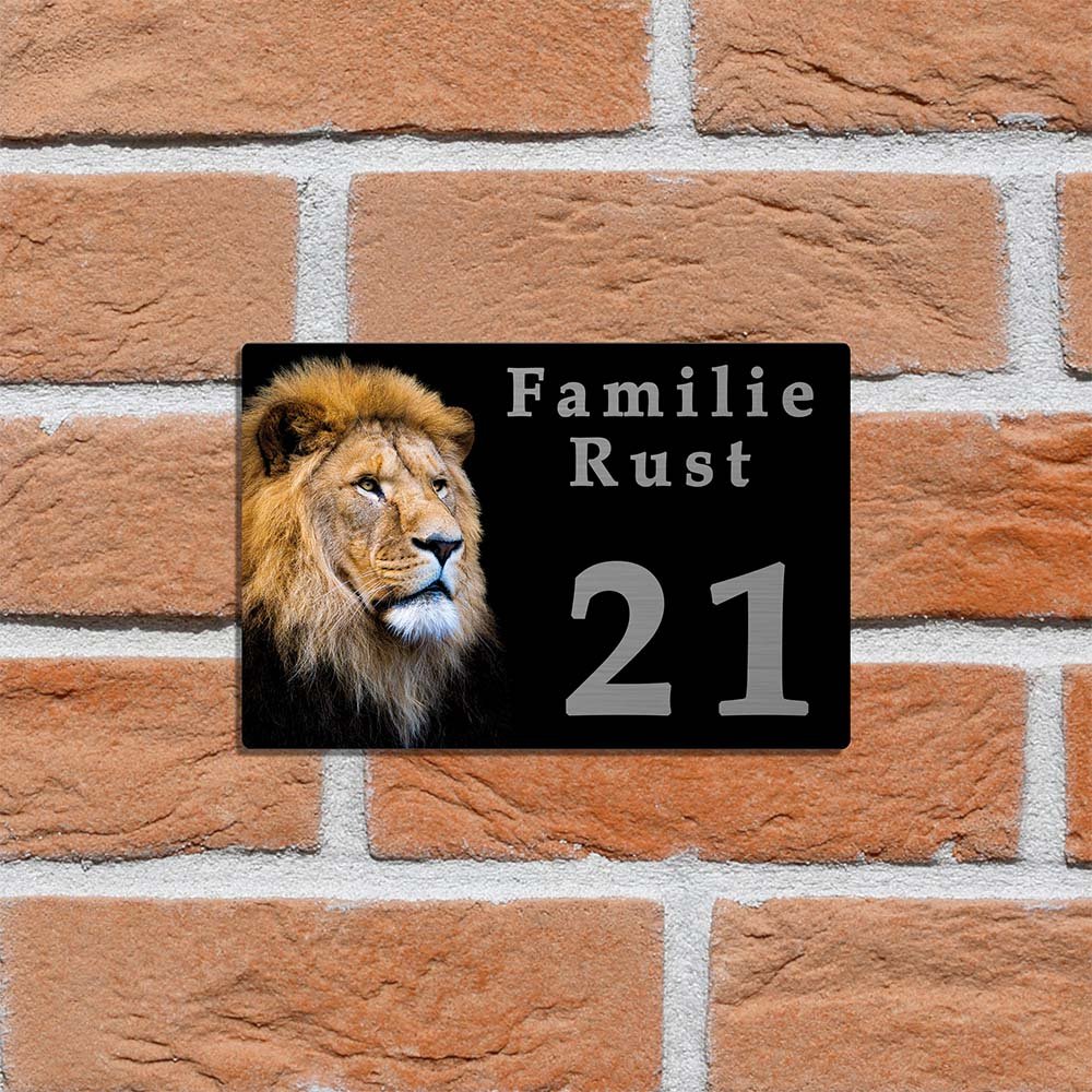 Naambordje leeuw